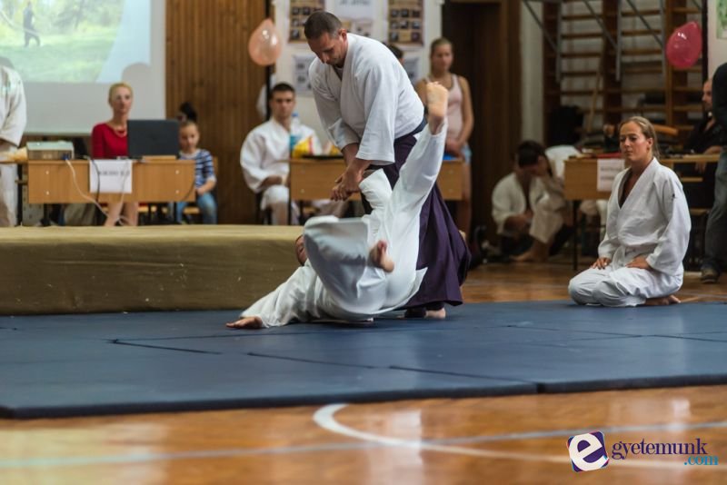 sportagvalaszto_04