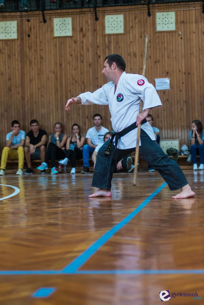sportagvalaszto_11