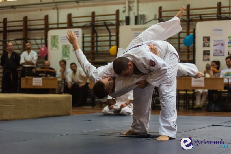 sportagvalaszto_19