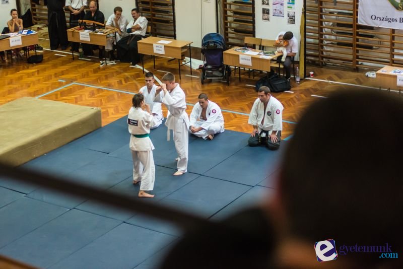 sportagvalaszto_21