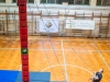 Sportagvalaszto_16