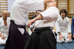 IMG_4508 kk