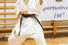 IMG_4635 kk