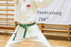 IMG_4642 kk