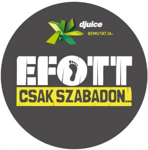 efott_logo